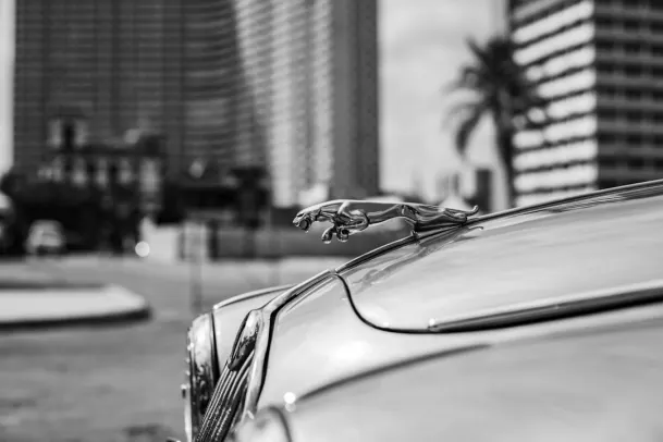 Casino Loony Bingo App Android/iOS